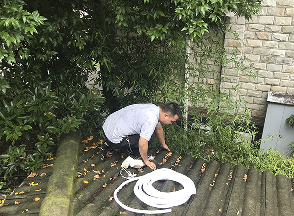 1626056408508272.jpg 600.jpg